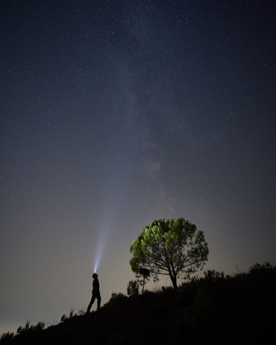 Via Lactea